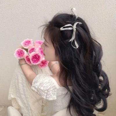 拿破仑美人关